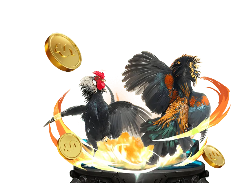 Hai chú gà chiến đang đá nhau trên sàn đấu trực tuyến GO88