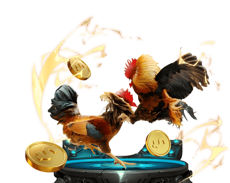 Đá gà trực tuyến banca90